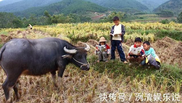 春秋季|俗语有福之人春秋生，无福之人夏冬生，有道理吗涨知识了