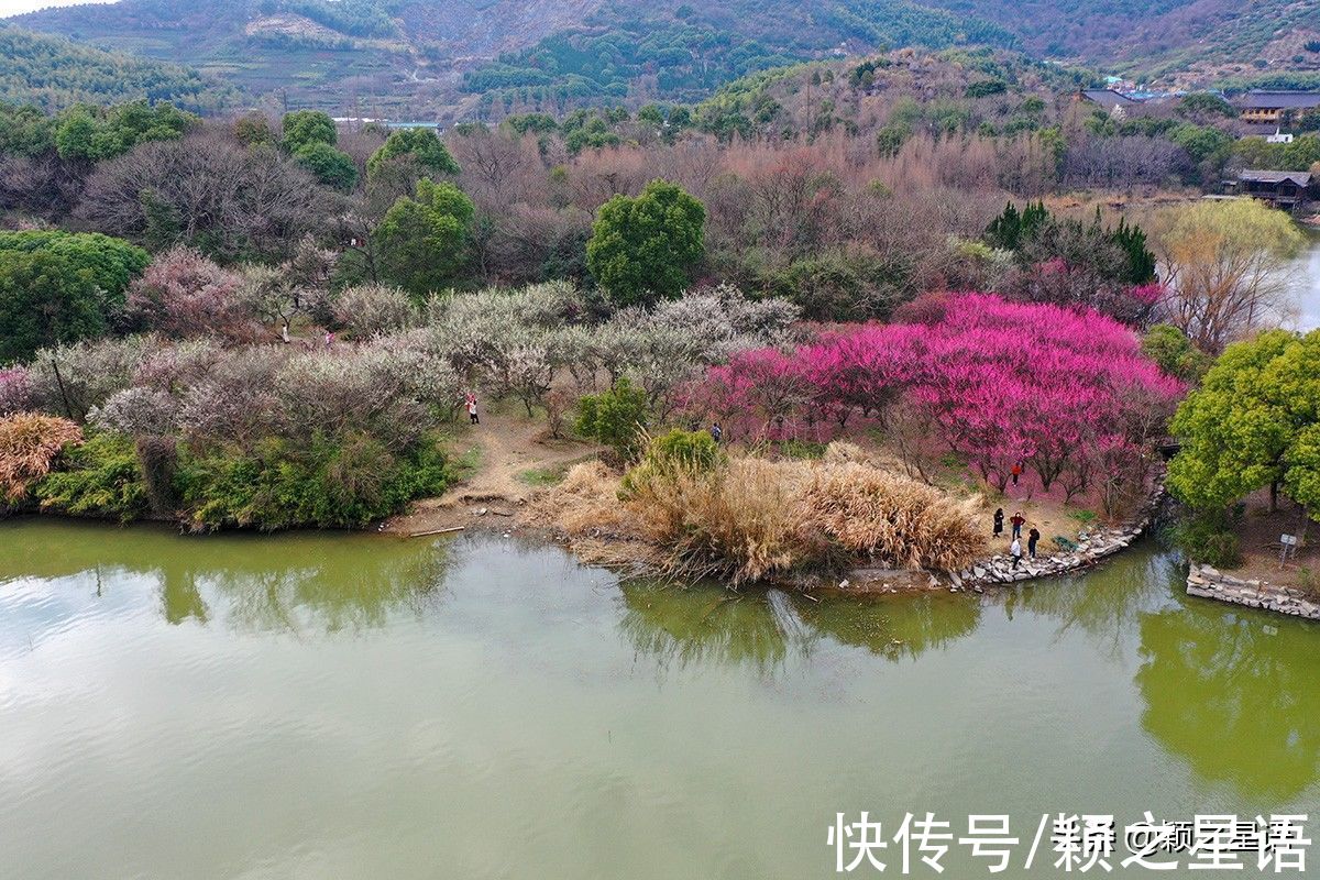 赏梅地|今年春节哪儿去？宁波16处赏梅地，春节就是赏梅节