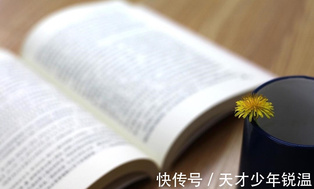 书本!读书变现:为读书投资,为自我增值