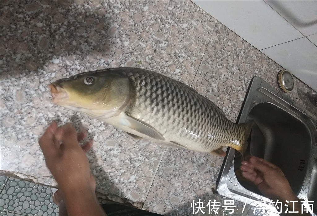 外出钓鱼怎么找鱼窝，水里哪里鱼最多？不靠水草就找坡