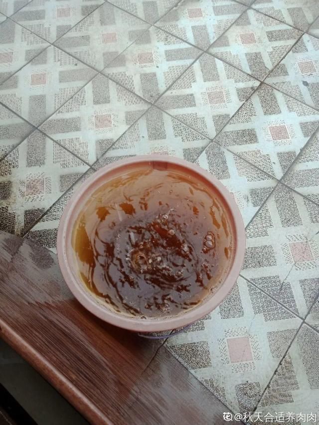 1粒小药片,碾碎丢水里,花像吃了兴奋剂疯长