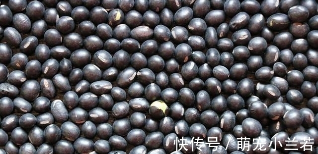 红糖|50岁姑姑:坚持每天这样吃点黑豆,越吃越精神,简单一做好香啊