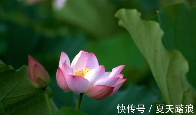 大雨|8月中下旬，生活上美满兴旺，越来越有钱，财如大雨降，五福齐聚