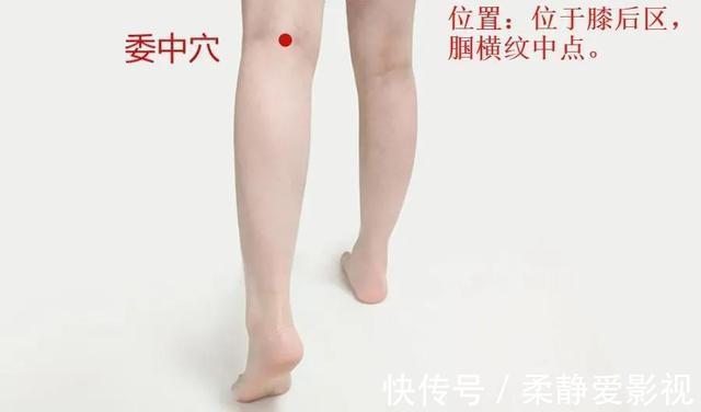 合穴|12合穴，为六腑打好基础，脏腑健康人才健康