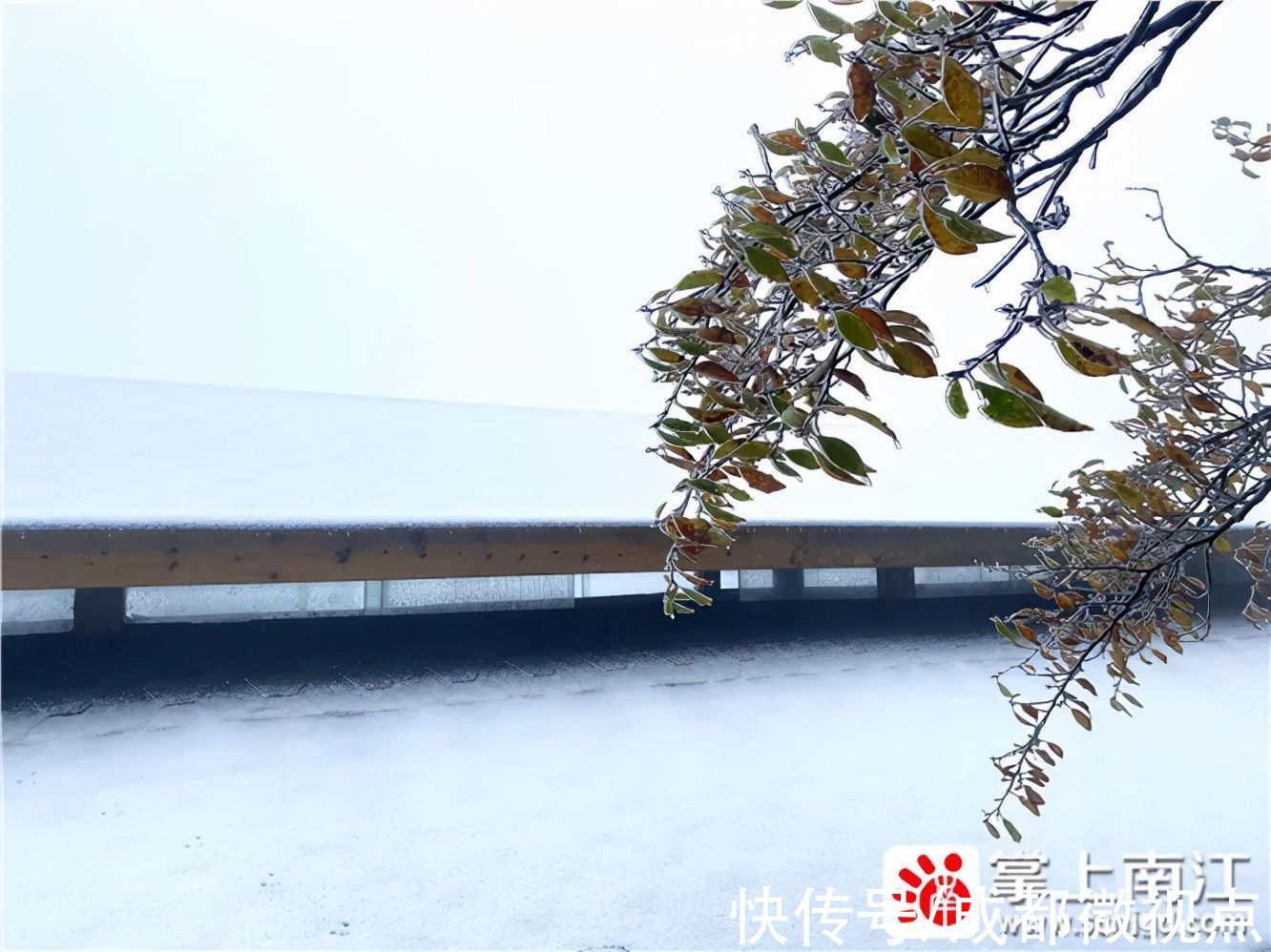 红叶|10月18日，一起去光雾山看红叶遇上白雪