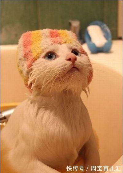 |幽默段子:钱多事少责任小,周末双休不加班