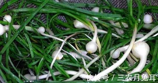 药材|农村一种野菜，经常被农民当蒜吃，不过是一种珍贵药材