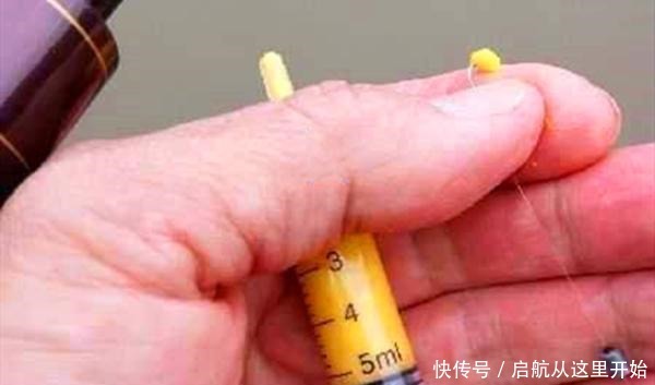 春钓大板鲫,给饵料加鸡个蛋,效果翻几倍!