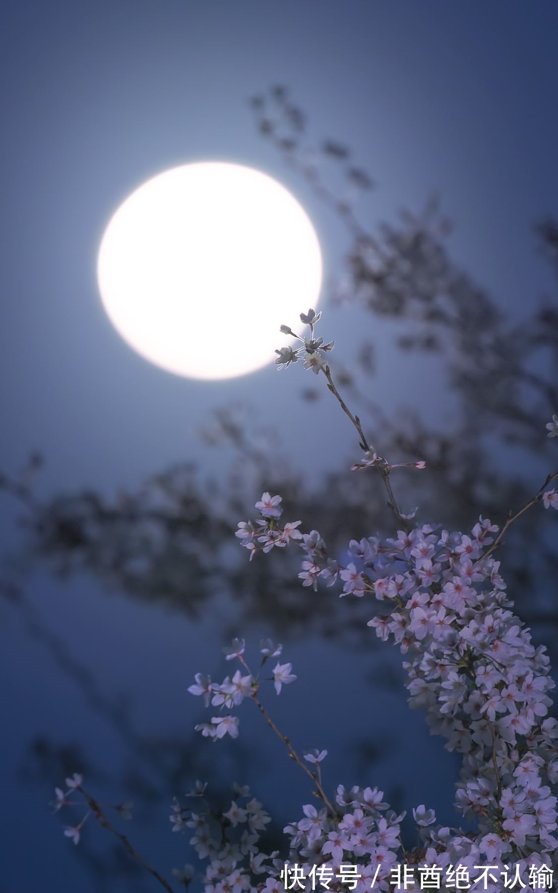 新沐!万物皆可写成诗,七绝50首,一次让你看个够