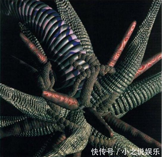 人类你别以为自己长得美,事实上,生物就该美成异形那个样……