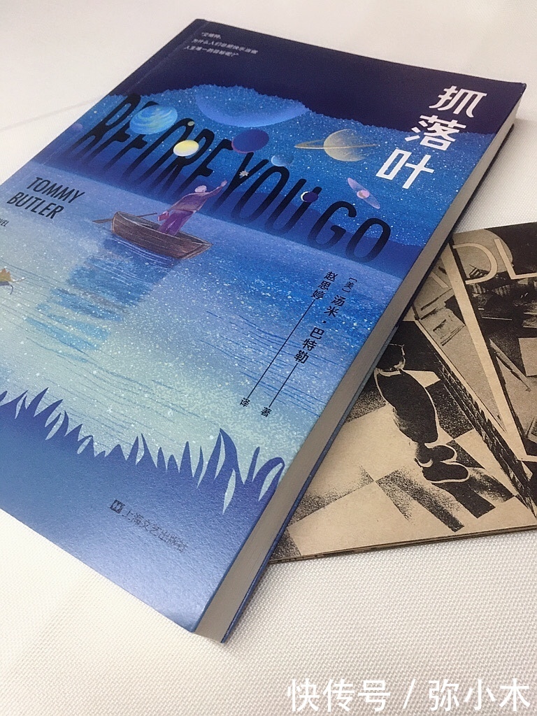 落叶|《抓落叶》:童年缺爱,一生寻找,不能如愿