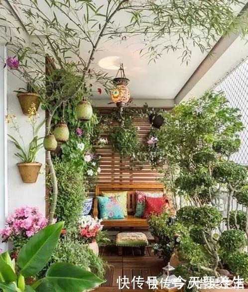 花园|阳台有了它们，立马变成小花房，看书品茶两不耽误！