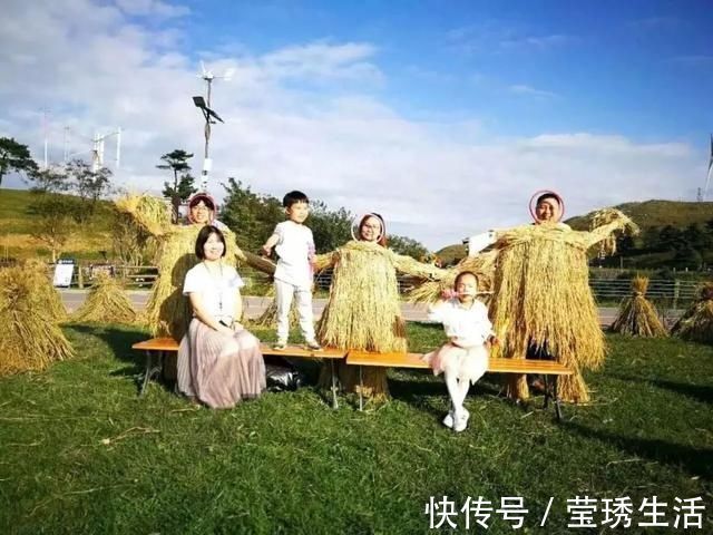 好奇心|教育专家卢勤“天才宝宝”多具备4种特点,中一个也要抓紧培养