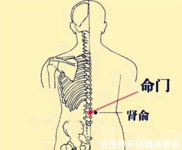 命门穴|寿命短的女人，通常有5个特征，若一个不占，说明你比较健康