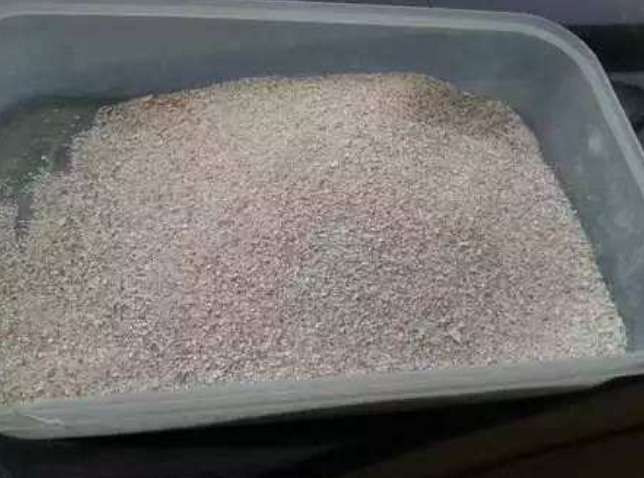 鸡蛋壳养花能促花,淘米水浇花长得旺,但是大部分人都做错了