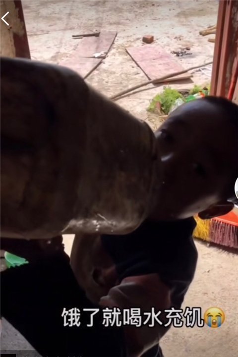 劳动力|25岁宝妈生4胎无人管,娃饿得喝水果腹,网友:父母不值得同情