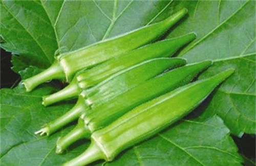  推荐|冬季来了，推荐常吃三种食物，排毒养颜，美容护肤，好处多多！