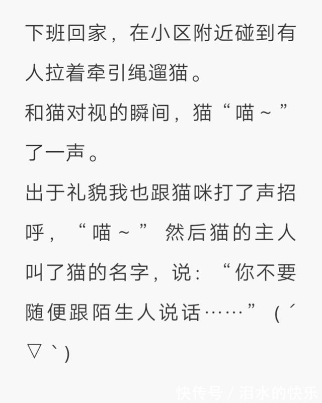 |今日笑话:下雨天出门的狗狗