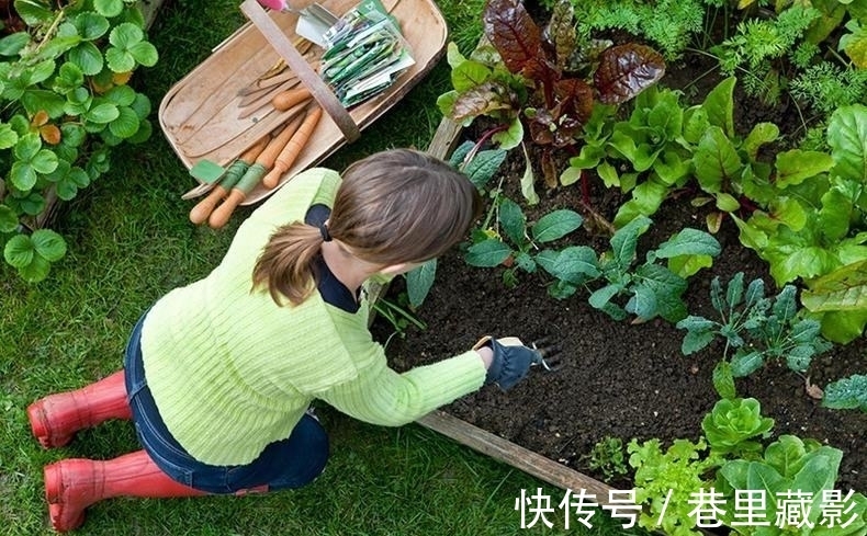 花肥|养花不会施肥，那你需要看看这个，为你的花选对肥