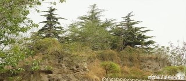  盗墓行为|民国军阀一夜变土豪, 坐拥七百多件宝物, 他的生财之道很神秘！