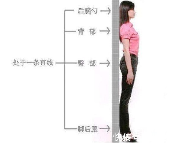 臀中肌|“背厚一寸,人老十分”,每天就这样坚持站10分钟,好处自然来