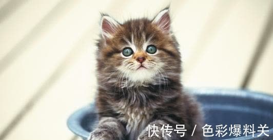 |幽默笑话:公司来了一新同事,据说是某名牌大学毕业的,恃才自傲