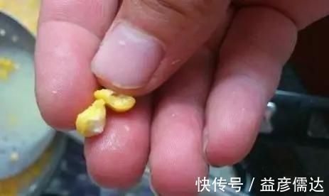 豆腐粉|钓龄十多年的老钓友,传授的鲤鱼饵料真的好用,学会一直爆护不断