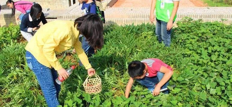 生活|当你还在梦想退休生活的时候,90后已经过上了你想要的田园生活