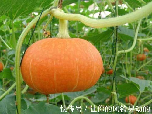 胰岛素|再次提醒:4种食物是“升糖王”,要管住嘴,否则打胰岛素也没用