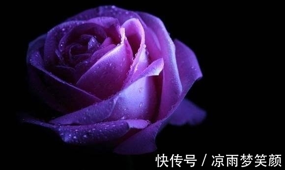 这3生肖菩萨心肠，即使是穷人也能发迹，2021年好运临门收获