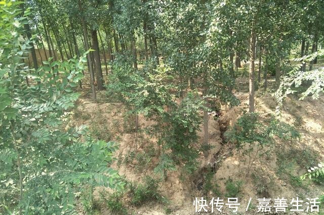 官诰|《水浒传》大结局,33位仍然在世的好汉都是谁,命运是什么!