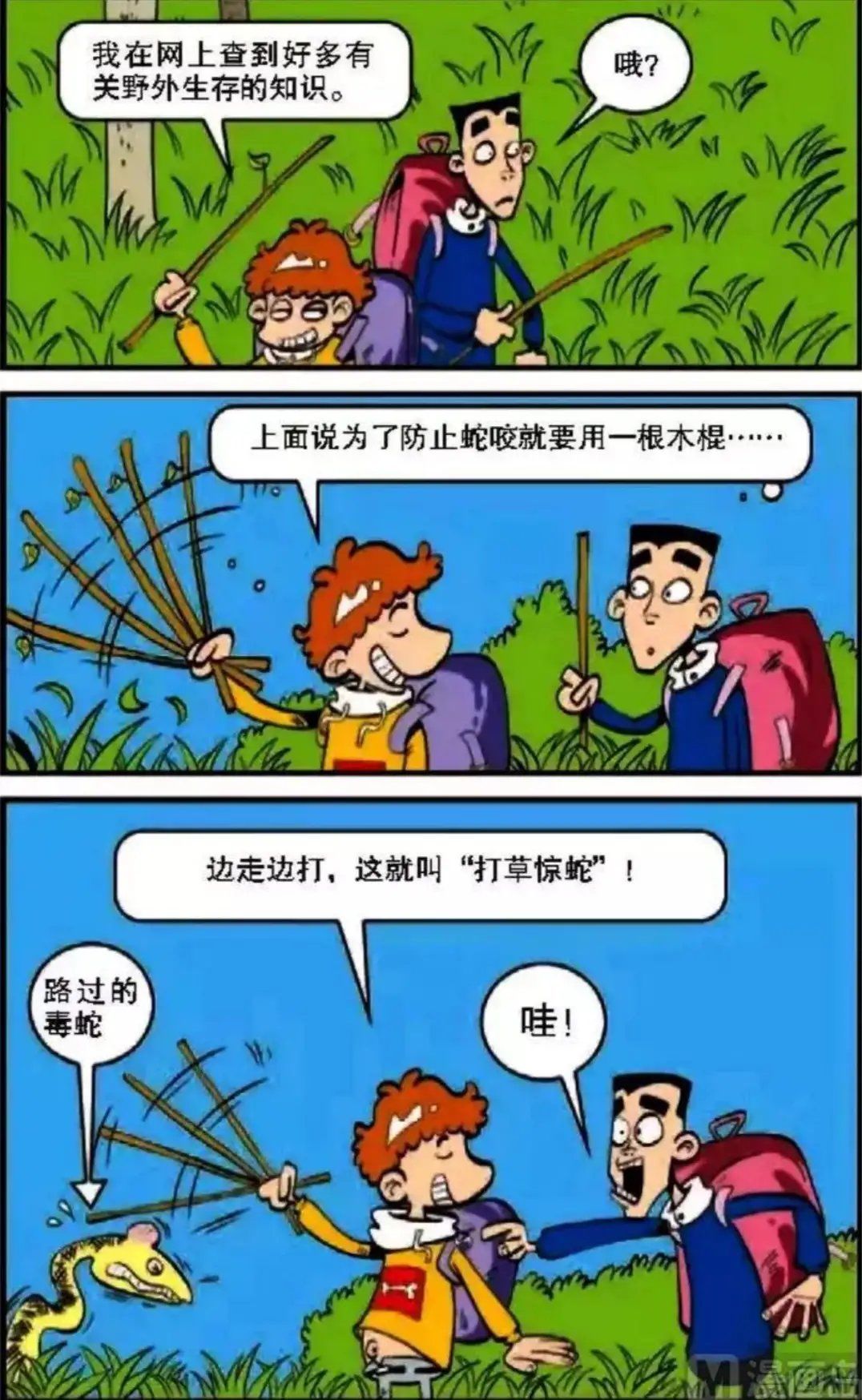 露营|阿衰漫画：小衰和小冲出门露营，遇到了大蟒蛇