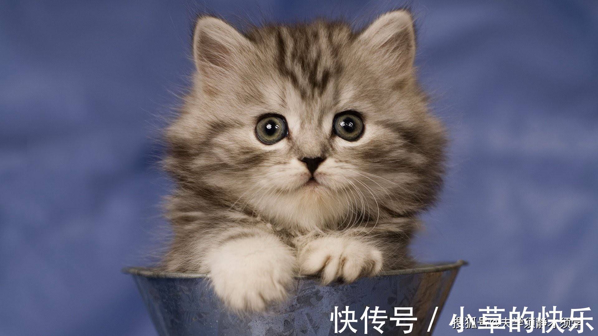 |幽默笑话:小学同事聚会,喝到一半时,大家开始回忆往事!