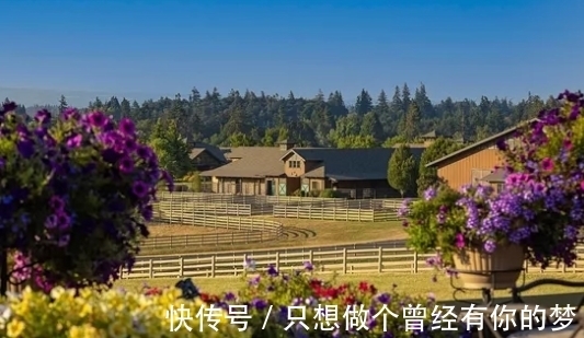 威尔逊|甲骨文创始人第三任妻子出售马术农场,报价1950万