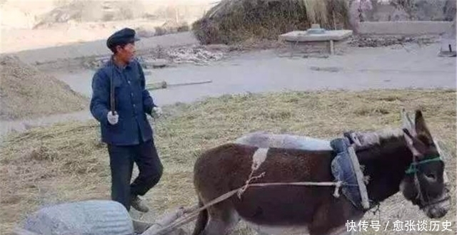 快过年了!你知道“头鸡二狗,三猪四羊,五牛六马”是什么意思吗?