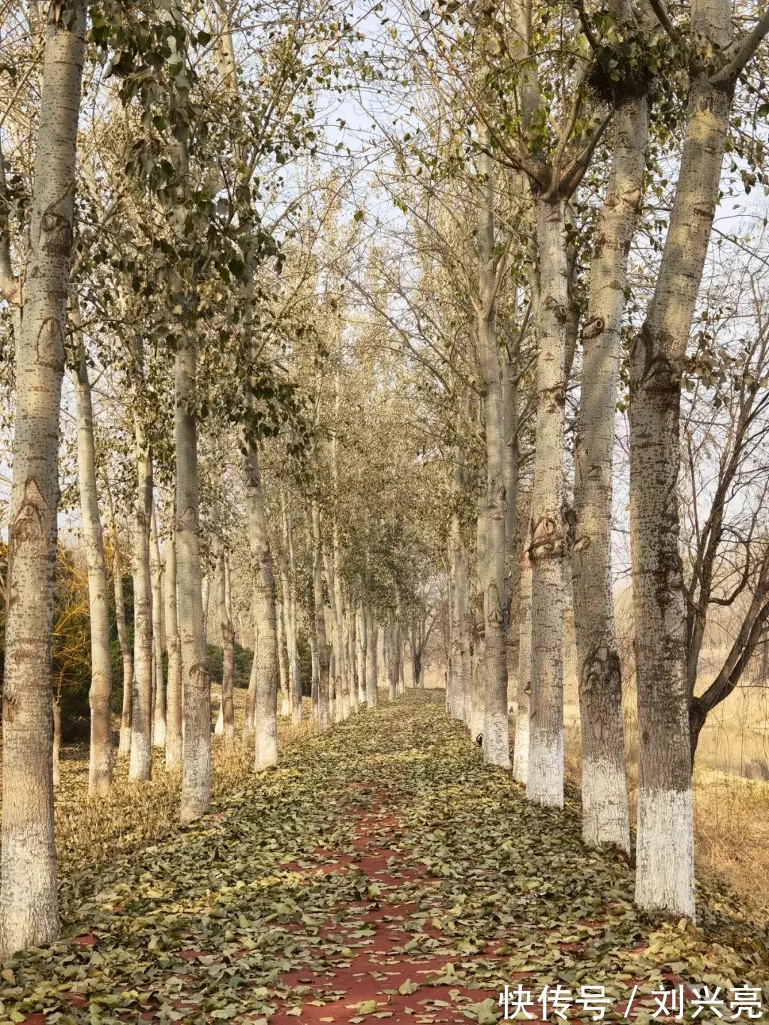 余光中$2022距离2000已经过去22年了,与2000距离1978同样远