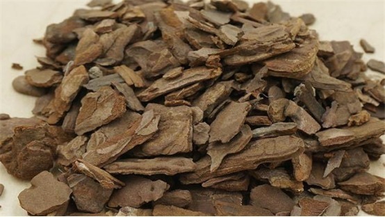 兰花总是烂根叶黄土里加1样东西,让兰花根壮叶绿