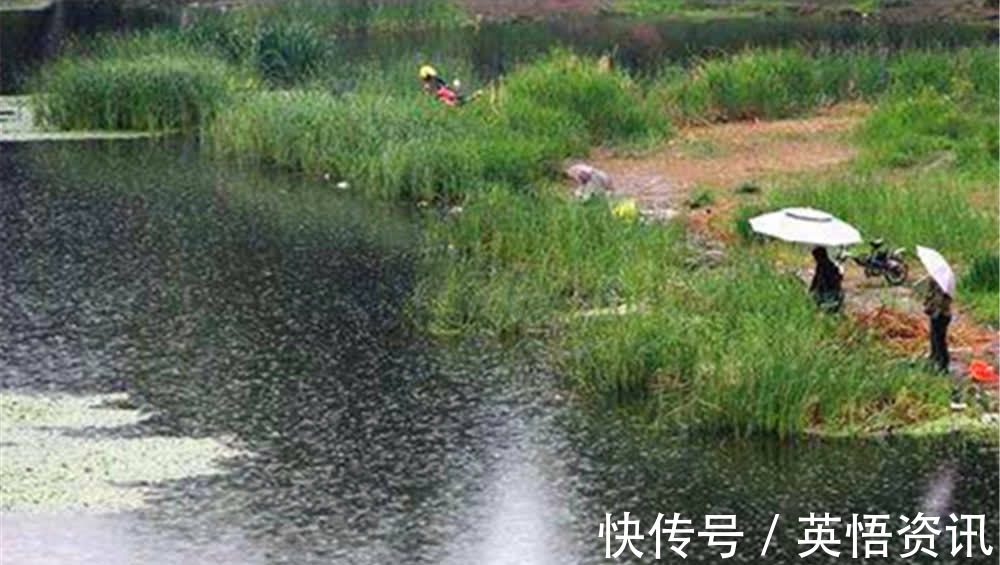钓鱼技巧:钓位选择要分四步走,别说没鱼,鱼都在这里扎堆了!