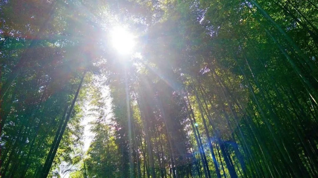 初夏，龟峰山依旧值得！门票降价，新景点等你来打卡