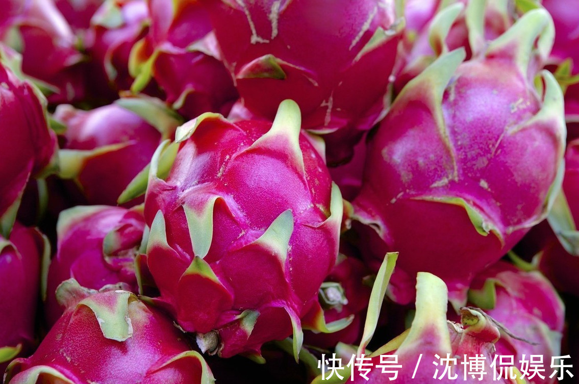 火龙果别瞎买，学会这5招，保证一挑一个准，个个又甜又好吃
