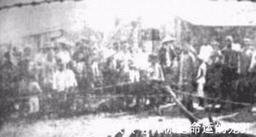 龙飞翔#上古奇书《山海经》记载的龙是真的吗?