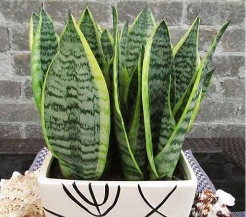 这两样东西被查出是甲醛“大户”，强致癌忠告别再往家拿了