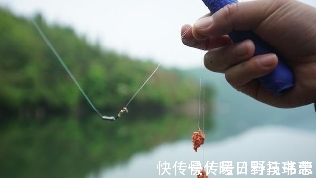 鱼漂|有口提竿空口无鱼，这三个招数，空竿马上变实口