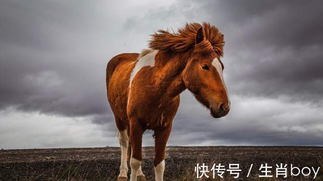 一段感情|虽然很念旧情，但不吃回头草，失望了就无法再挽回的星座