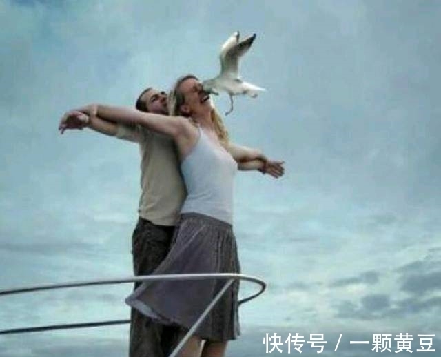 |搞笑图片幽默段子笑话:哈哈,你们的浪漫被一只鸟给打破了呢