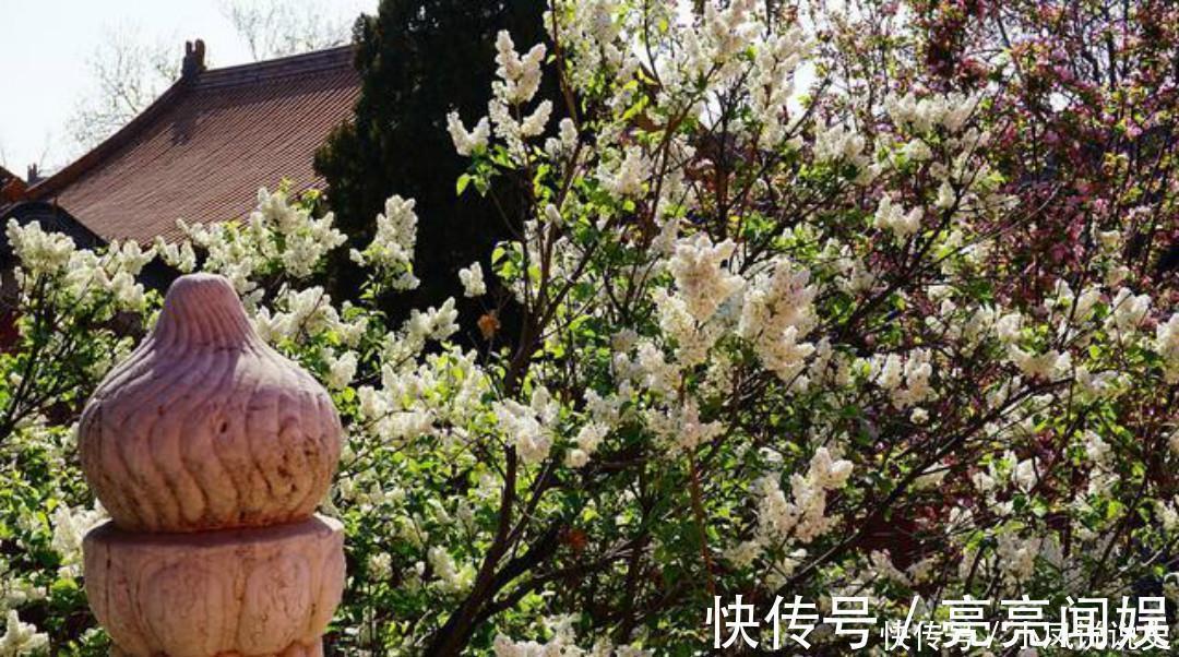 忧愁$岑参两首不可不读的经典,每一首都很孤独,写出了繁华过后的落寞