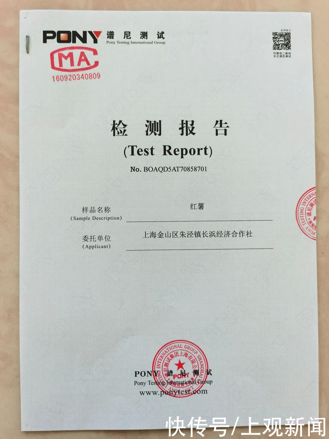  金山|金山人，这个冬天，冰淇淋与烤红薯可兼得