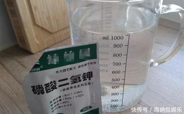 水溶液|养花人都知道的“5个偏方”，3分钟学会，一生受用，养啥都旺盛