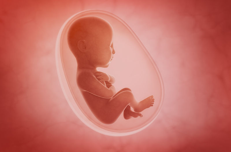 检查|贝安健康：孕期为什么做生化检查?