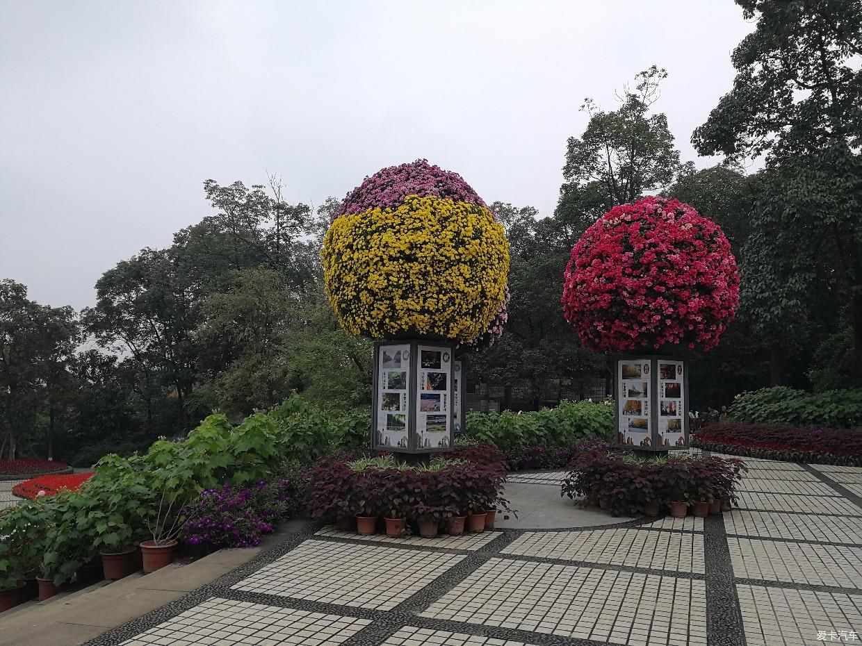 带上家人逛天然氧吧打卡成都植物园